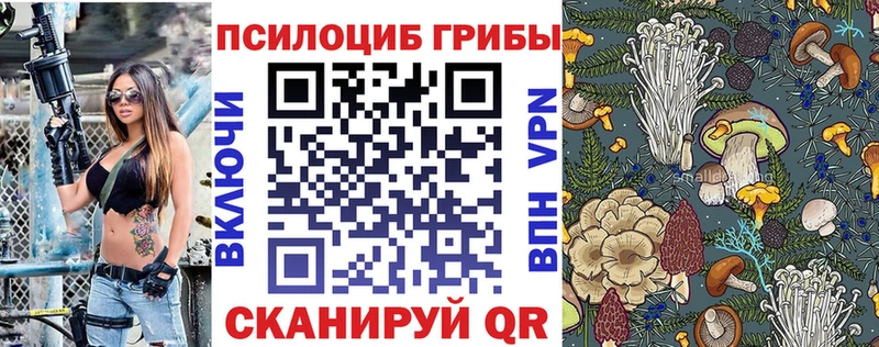 Купить где  Белово  Псилоцибиновые грибы Magic Shrooms 